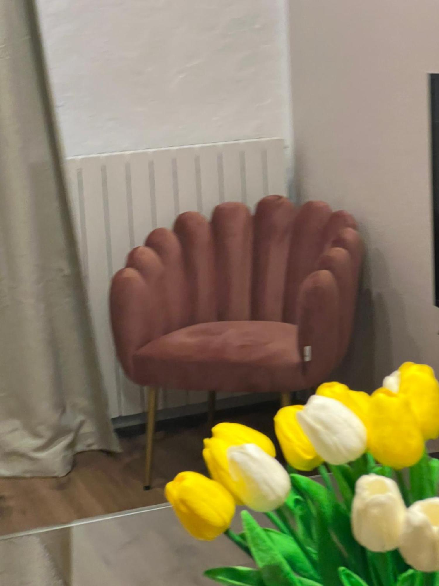 אורטה סאן ג'יוליו Residenza San Rocco "Suite Sul Lago" מראה חיצוני תמונה